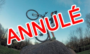 Stage Multisport jeunes - ANNULÉ