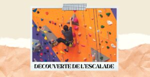 Découverte de l'escalade @ salle Stéphane Traineau | Mortagne-sur-Sèvre | Pays de la Loire | France