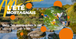 Quizz "Les animaux dans le ciel" @ Bibliothèque le Marque-page | Mortagne-sur-Sèvre | Pays de la Loire | France