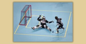 Séance Floorball @ Salle Polyvalente, Complexe Stéphane Traineau | Mortagne-sur-Sèvre | Pays de la Loire | France