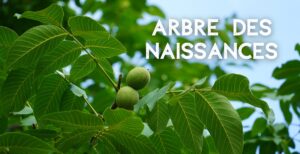 Plantation de l'arbre des naissances @ Gazeau